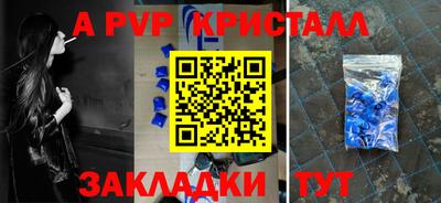 крисы Кулебаки
