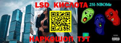 крисы Кулебаки