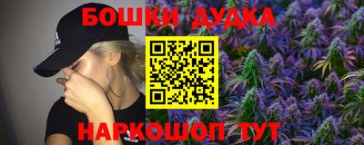 крисы Кулебаки