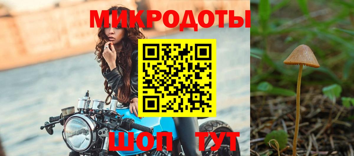 Галлюциногенные грибы Psilocybine cubensis Березники